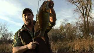 Throw Tubes For LateFall River Smallmouth [upl. by Bernelle65]