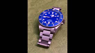 Tudor Pelagos 42mm diver  we love watches [upl. by Linskey29]