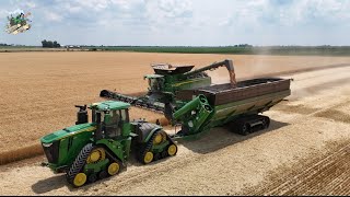 Wheat Harvest 2024 at Crossroad Farms in Indiana [upl. by Mayce]