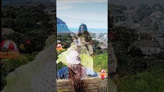 Music is life itself 🎶 🎵 shortsfeed nature youtuber fyb music shorts love life nz [upl. by Ettena]