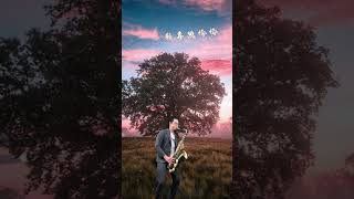 【阿克蘇 全能型次中音吹嘴｜歌曲示範】《歡喜跳恰恰》薩克斯風演奏 張志宇薩克斯風教室 [upl. by Trinette]