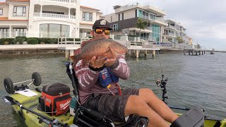 Paradise Point Sesh Bream Trevally Flathead and Jack [upl. by Ule]