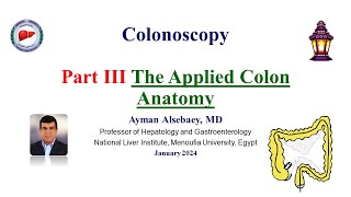 Colonoscopy Part III The Colonoscope The Anatomy of Colon 2024 [upl. by Trinette]