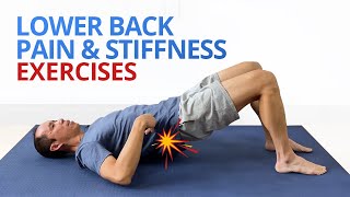 INSTANT RELIEF from Lower Back Pain and Stiffness 4 EASY Exercises [upl. by Wordoow]