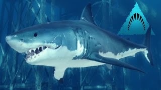 Great White Shark Wants To Feed  Depth  Ep1 HD [upl. by Marleah]