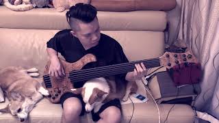 Obscura Diluvium Ekpyrosis Fretless bass cover [upl. by Corliss]