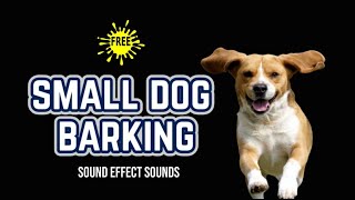 Dogs Bark  Small Dog Barking Sound Effect [upl. by Ennoval]