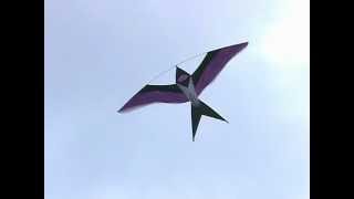 Bird Kites at Dieppe  2004 kite festival [upl. by Aiuqet]