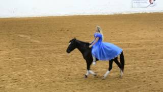 Mustang and quotCinderellaquot perform bridle less—Mustang Maddy at 2017 Mustang Magic Freestyle [upl. by Anawait]