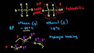 Physical properties of alcohols and preparation of alkoxides  Organic chemistry  Khan Academy [upl. by Potash]