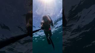 Fishes 😮🫨 fish underwater amazing love freediving shorts short shortvideo viral thankyou [upl. by Schrick989]