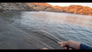 Millerton Lake Ca  Bass Fishing ˢᵏᵘⁿᵏ [upl. by Ynaitirb]