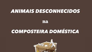 O que você precisa conhecer sobre compostagem doméstica ácaros [upl. by Ruthanne]