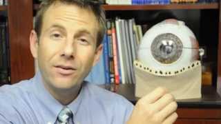 How dry eye syndrome affects the cornea and tear film  A State of Sight 94 [upl. by Aneerhs455]