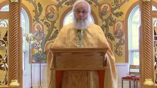 Homily for the Synaxis of the Archangels Nov 8 2024  Fr Andrew Harmon [upl. by Ttenaj]