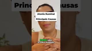 Sinais de Atonia Ruminal Principais Causas [upl. by Retsim]