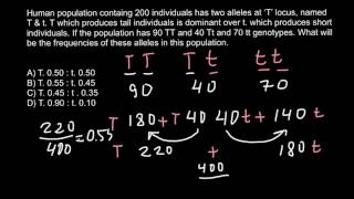 How to solve allele frequency problems [upl. by Benton]