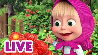 🔴 ПРЯМОЙ ЭФИР LIVE Маша и Медведь 👱‍♀️🐻 Сладко жить не запретишь 🍓🍒 [upl. by Airtina892]