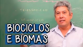 Talassociclo Epinociclo e Limnociclo  Extensivo Biologia  Descomplica [upl. by Helaina]