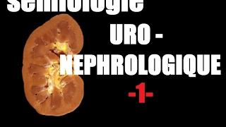 sémiologie uro nephrologique 1 [upl. by Alleras]