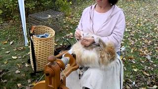 Angora bunny spinning [upl. by Chace]