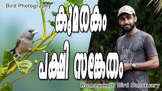 കുമരകം പക്ഷി സങ്കേതം  Kumarakom Bird Sanctuary [upl. by Borlase]