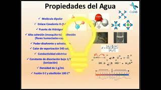 Sesión 05 Agua y electrolitos I [upl. by Roselane]