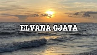 Elvana Gjata  Si Na lyrics [upl. by Neenaej955]