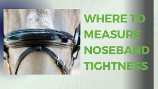 Where to measure your horses noseband [upl. by Hulton661]