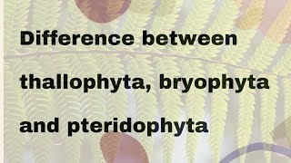 Difference between thallophyta bryophyta and pteridophyta [upl. by Erica]