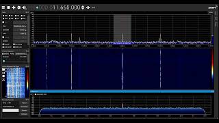 RTM Wai FM 11665 kHz in Moscow [upl. by Asli]