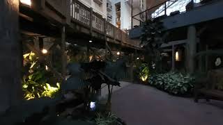 Gaylord Palms Everglades Evening Ambiance 3D VR180 [upl. by Love]