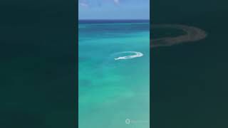 Discover Saint Kitts and Nevis in 60 Sec 2024 [upl. by Naida]