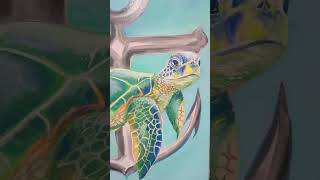 GREEN SEA TURTLE AND AN ANCHOR turtles cute artwork acrylicpainting oilpainting turtle art [upl. by Marino]