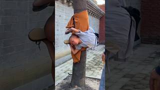 Amazing Facts About Shaolin Monks 😱 shorts monk [upl. by Hourigan]