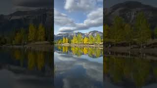 The image of trees can be clearly seen in a calm water body [upl. by Dobbins]