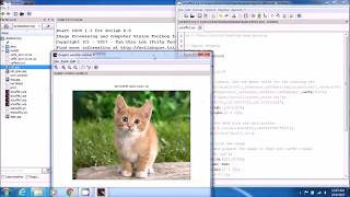 Deep Learning CNN with Scilab  Loading Caffe Model in Scilab [upl. by Roid]