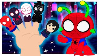 Familia dedo SPIDERMAN  Canciones Infantiles  Groovy el Marciano [upl. by Cj186]