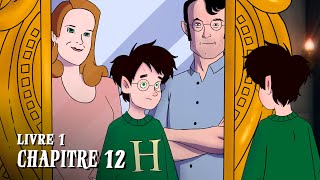 HARRY POTTER  Livre 1  Chapitre 12  LE MIROIR DU RISED [upl. by Ecirtak]