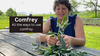 Comfrey How we use this controversial herb on the homestead [upl. by Bradman]