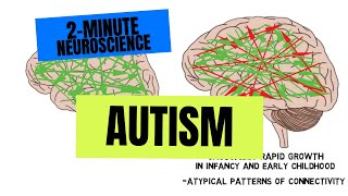 2Minute Neuroscience Autism [upl. by Ayotl]