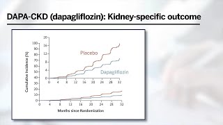 SGLT2 Inhibitors in Chronic Kidney Disease [upl. by Domenech]