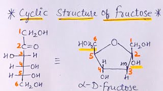 Cyclic Structure of Fructose  Biomolecules  JEE NEET [upl. by Meneau366]