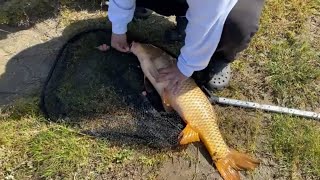 Lahu Carp Fishing At Kaweah Lake [upl. by Llenyl]