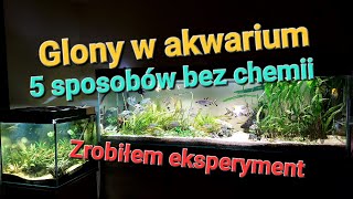 Glony w akwarium 5 sposobów bez chemii [upl. by Tybie670]