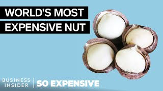 Why Macadamia Nuts Are So Expensive  So Expensive [upl. by Corby]