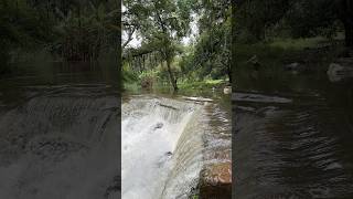 Cascadas de Tamasopo Huasteca potosina🤍👍￼ [upl. by Dhumma]