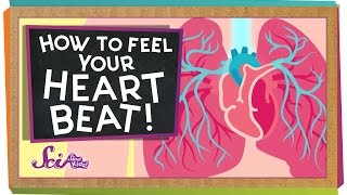 How to Feel Your Heart Beat [upl. by Noissap]