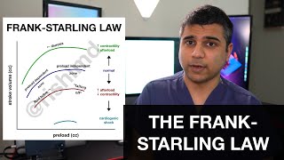 The Frank Starling Law 🩺🫀 [upl. by Narih513]