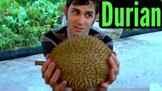 Durian Review  Weird Fruit Explorer in Malaysia Ep 50 [upl. by Yrbua]